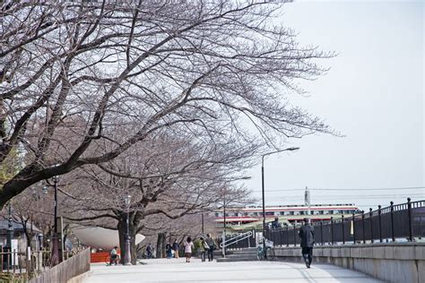 北千住 イソップ: 寓話と現実の交差点