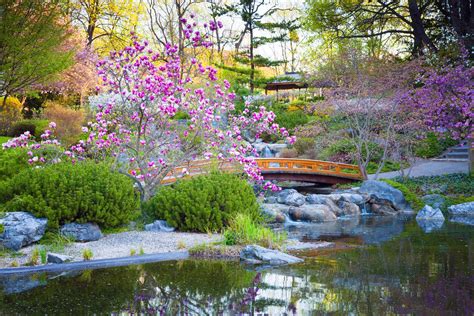 恋庭 オブジェ 重複：庭園美学と現代アートの交差点